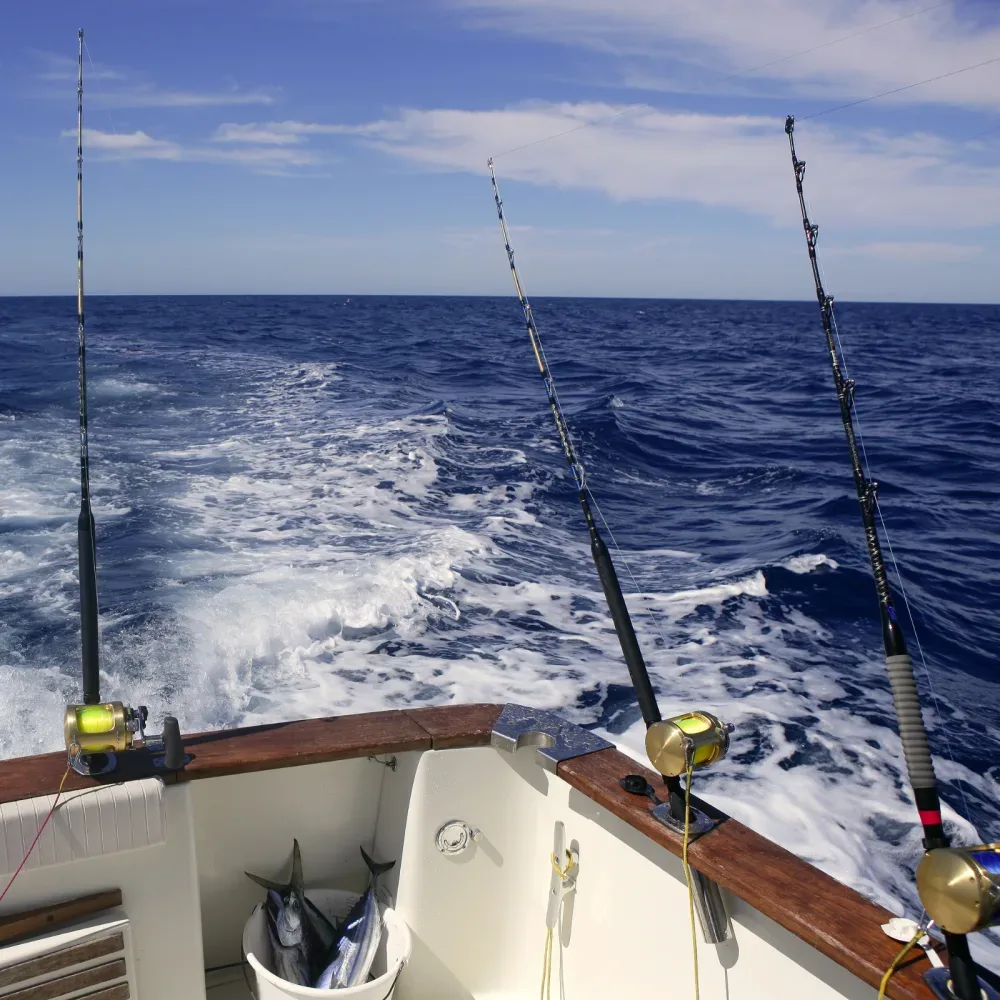 Biscayne Bay fishing Miami