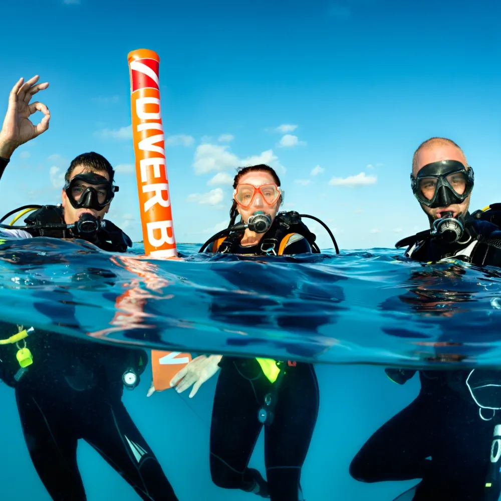 MIAMI DIVE TOURS
