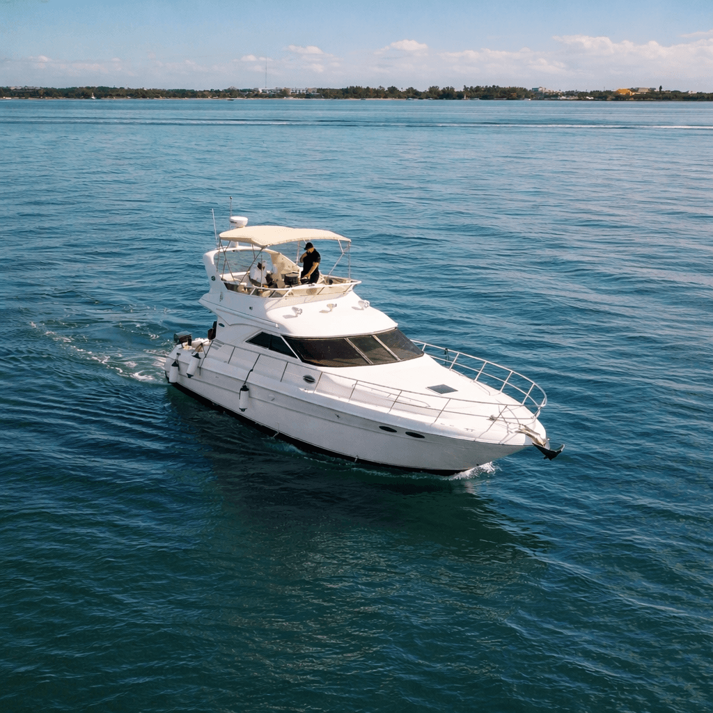 Sea Ray - image 1