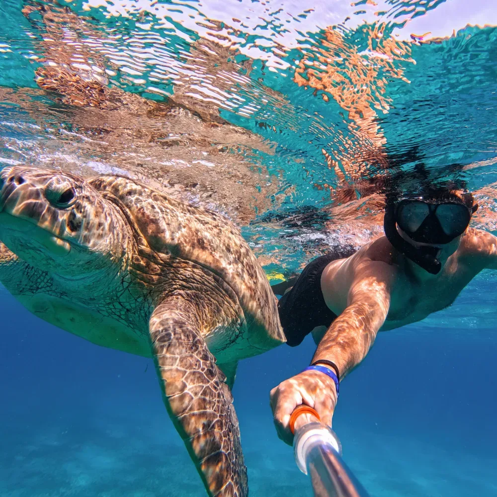 SNORKELING MIAMI