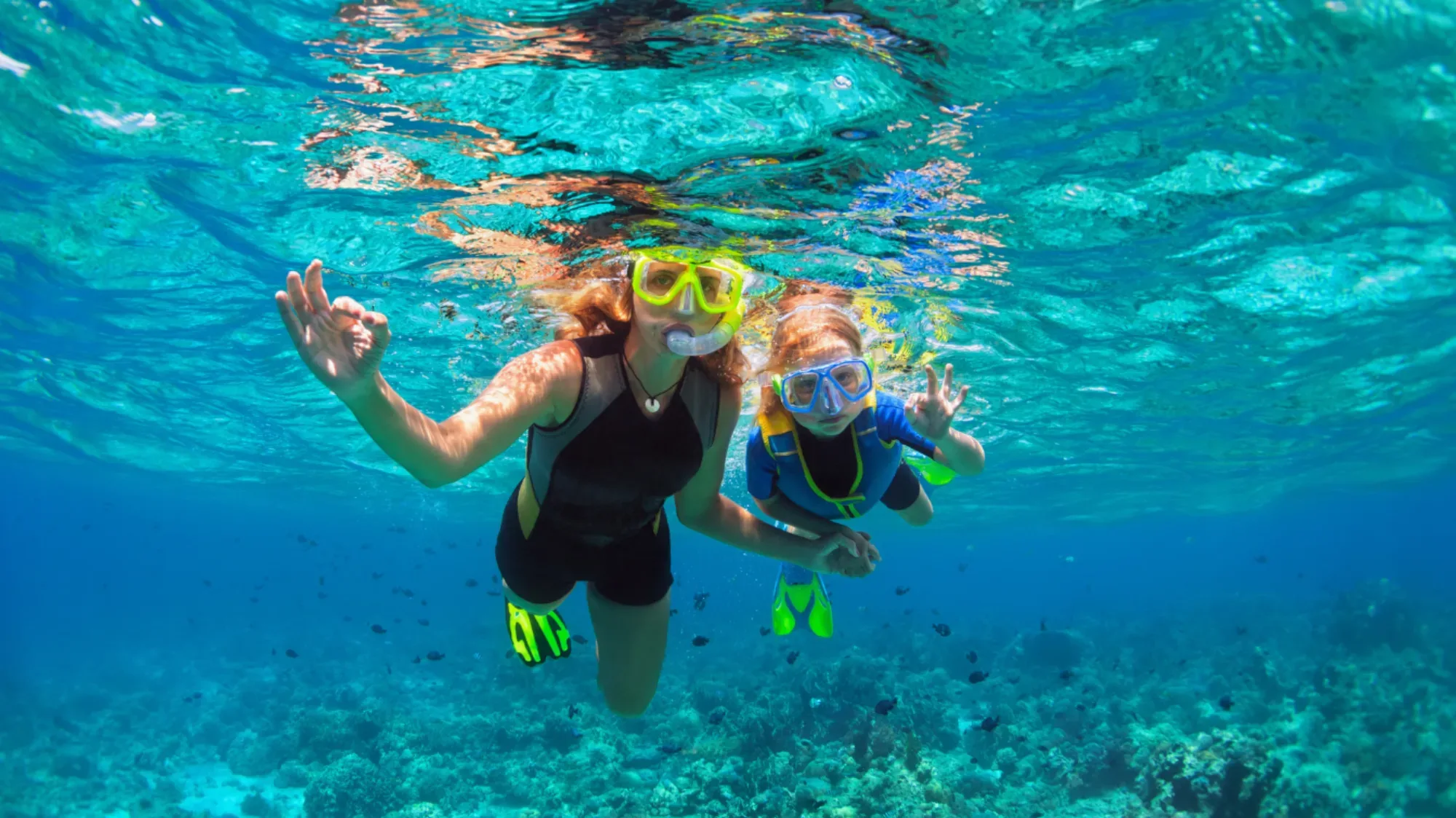 Miami snorkeling tours on Biscayne Bay
